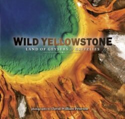 Wild Yellowstone: Land of Geysers and Grizzlies