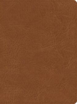 CSB He Reads Truth Bible, Saddle Leathertouch, Indexed