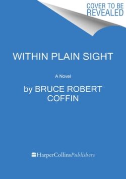 Within Plain Sight: A Detective Byron Mystery
