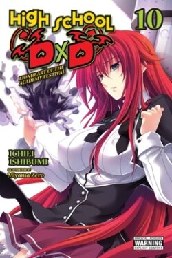 High School DXD, Vol. 10 (Light Novel): Lionheart of the Academy Festival