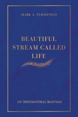 Beautiful Stream Called Life: 150 inspirational mantras