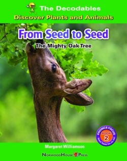 From Seed to Seed: The Mighty Oak Tree