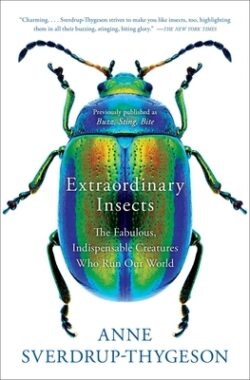 Extraordinary Insects: The Fabulous, Indispensable Creatures Who Run Our World