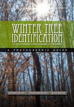 Winter Tree Indentification for the Southern Appalachians and Piedmont
