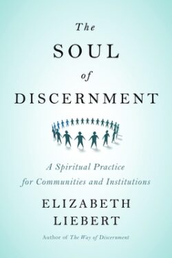 The Soul of Discernment: A Spiritual Practice for Communities and Institutions