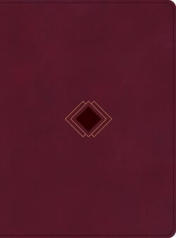 CSB Day-By-Day Chronological Bible, Burgundy Leathertouch
