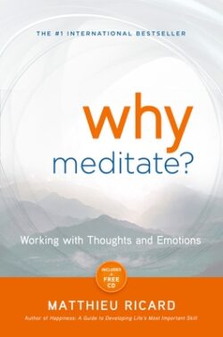 Why Meditate?