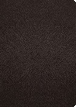 ESV Study Bible, Large Print (Buffalo Leather, Deep Brown)
