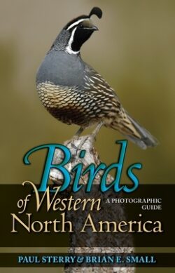 Birds of Western North America: A Photographic Guide a Photographic Guide