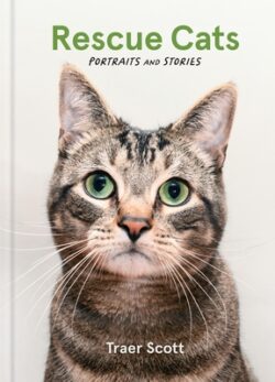 Rescue Cats: Portraits and Stories