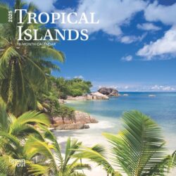Tropical Islands 2025 7 X 7 Mini Calendar