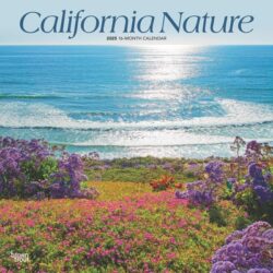 California Nature 2025 12 X 24 Inch Monthly Square Wall Calendar Plastic-Free
