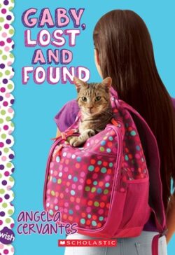 Gaby, Lost and Found: A Wish Novel