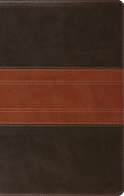 ESV Large Print Personal Size Bible (Trutone, Forest/Tan, Trail Design)