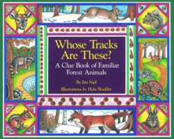Whose Tracks Are These?: A Clue Book of Familiar Forest Animals