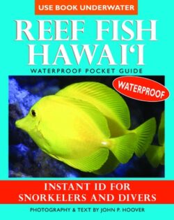 Reef Fish Hawai'i: Waterproof Pocket Guide: Instant ID for Snorkelers and Divers