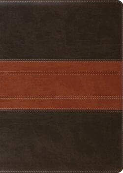 ESV Study Bible, Large Print (Trutone, Forest/Tan, Trail Design)