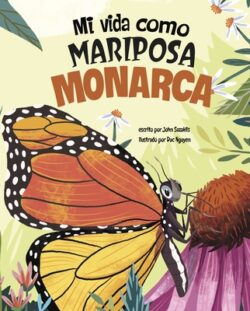 Mi Vida Como Mariposa Monarca