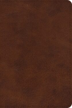 ESV Large Print Bible (Trutone, Deep Brown)