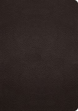 ESV Study Bible (Buffalo Leather, Deep Brown)