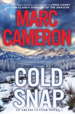 Cold Snap: An Action Packed Novel of Suspense