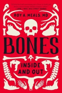 Bones: Inside and Out