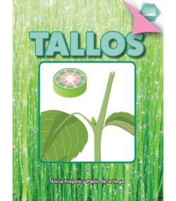 Tallos: Stem