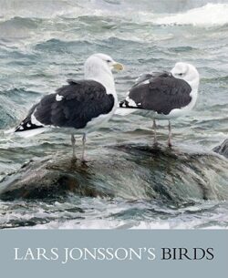 Lars Jonsson's Birds: Paintings from a Near Horizon