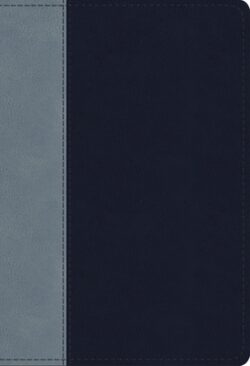 ESV Student Study Bible (Trutone, Navy/Slate, Timeless Design)