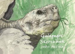 A Galápagos Sketchbook
