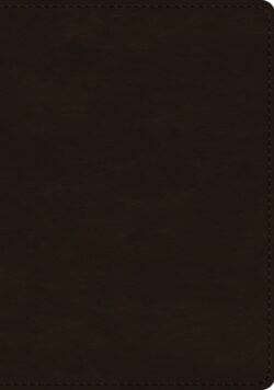 ESV Single Column Journaling Bible, Large Print (Trutone, Deep Brown)