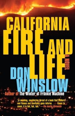 California Fire and Life: A Suspense Thriller