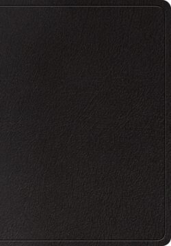 ESV Super Giant Print Bible (Black)