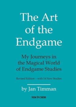 The Art of the Endgame: My Journeys in the Magical World of Endgame Studies