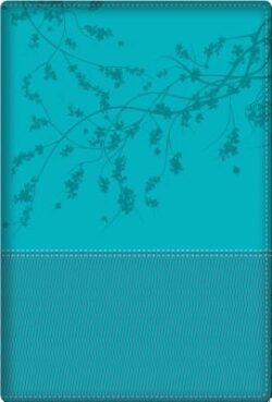 Biblia de la Mujer Conforme Al Corazón de Dios: Duotono Aqua