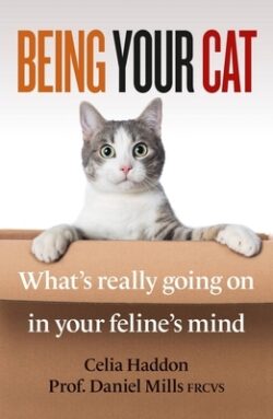 Being Your Cat: What's Really Going on in Your Feline's Mind
