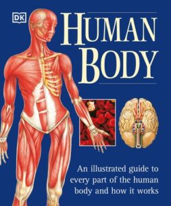 The Human Body: An Illustrated Guide to Every Part of the Human Body and How It Works