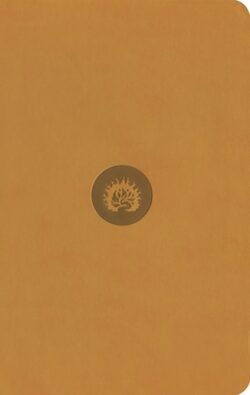 ESV Reformation Study Bible, Student Edition - Marigold, Leather-Like