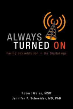 Always Turned on: Sex Addiction in the Digital Age
