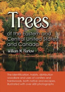 Trees of the Eastern and Central United States and Canada: The Identification, Habits, Distribution Woodlore and Uses of Conifers and Hardwoods, Both
