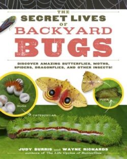 The Secret Lives of Backyard Bugs: Discover Amazing Butterflies, Moths, Spiders, Dragonflies, and Other Insects!