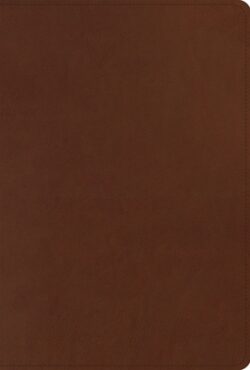 ESV Men's Study Bible (Trutone, Brown)