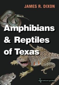 Amphibians and Reptiles of Texas: With Keys, Taxonomic Synopses, Bibliography, and Distribution Maps Volume 45
