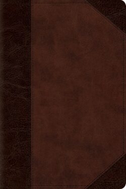 ESV Personal Reference Bible (Trutone, Brown/Walnut, Portfolio Design)