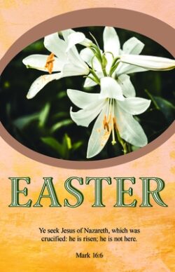 Easter Bulletin: Ye Seek Jesus (Package of 100): Mark 16:6 (Kjv)