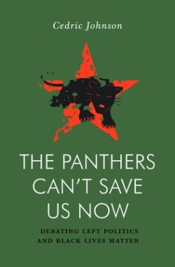 The Panthers Can't Save Us Now: Debating Left Politics and Black Lives Matter