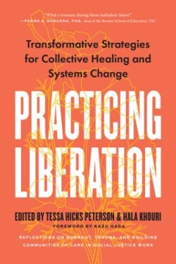 Practicing Liberation: Transformative Strategies for Collective Healing & Systems Change: Reflections on Burnout, Trauma & Building Communiti