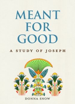 Meant for Good: A Study of Joseph