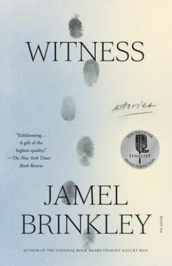Witness: Stories