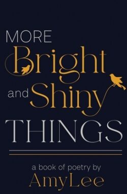 More Bright and Shiny Things: a book of poetry